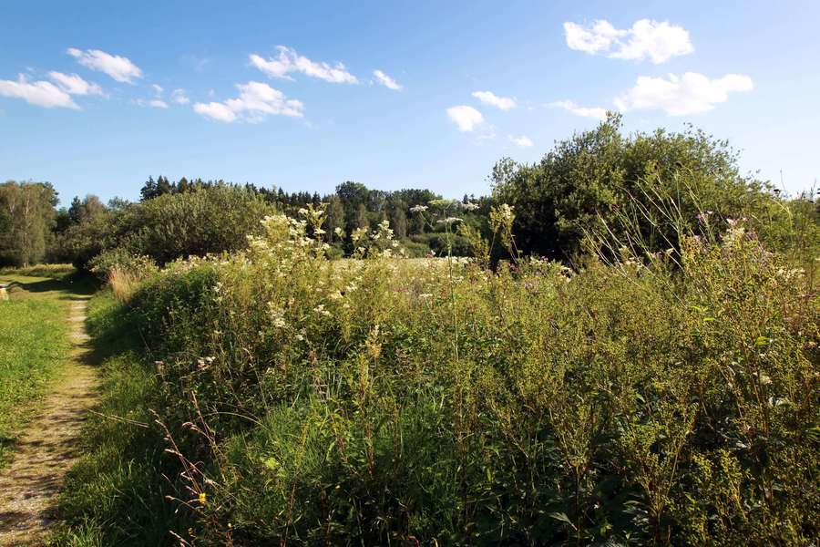 Region Bad Wimsbach – Neydhartinger Moor Region Bad Wimsbach - Neydhartinger Moor